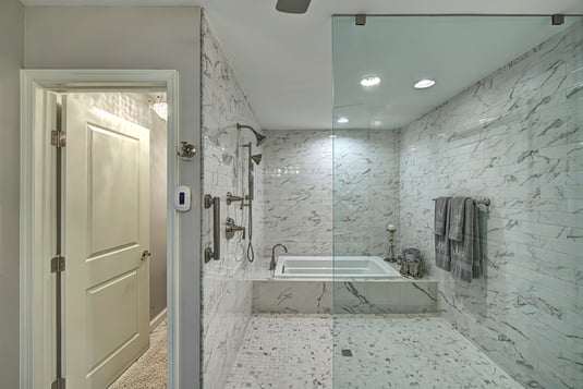 Walk-in shower and tub room with glass walls in McLean